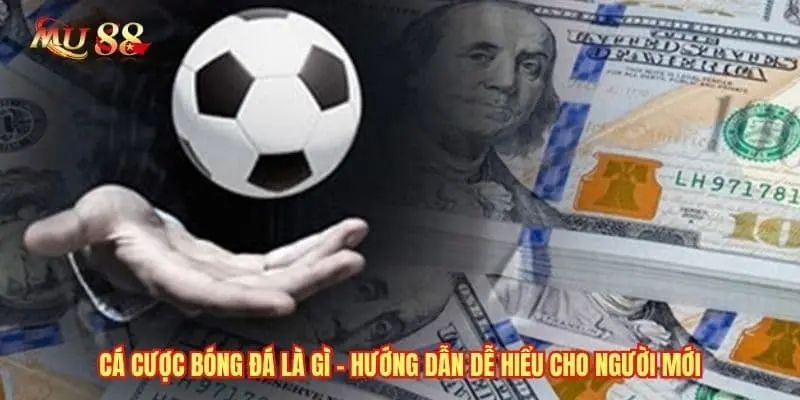Cá Cược Bóng Đá Là Gì? MU88 Hướng Dẫn Dễ Hiểu Cho Người Mới